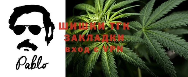 мдпв Горнозаводск