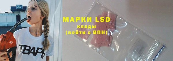 мдпв Горнозаводск