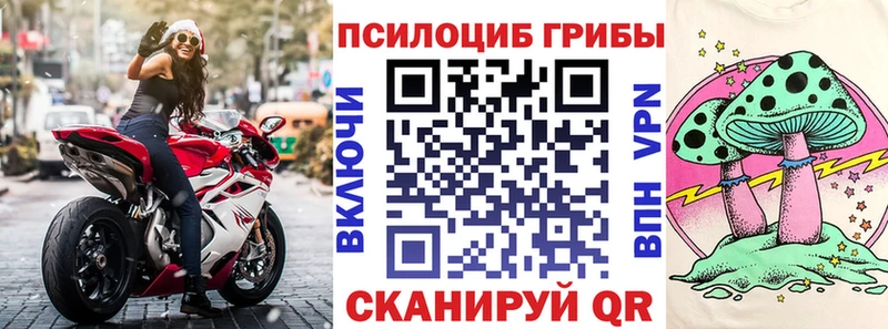 Галлюциногенные грибы Cubensis  купить наркотик  Ирбит 